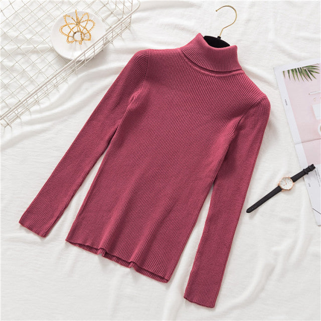 New Winter Women Knitted Turtleneck Sweater Casual Soft Polo-neck Jumper Fashion Slim Femme Elasticity Pullovers Collar Style