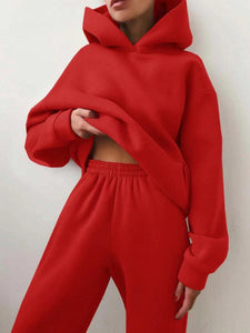 Winter Two Piece Sets Women Tracksuit Oversized Suit 2021 Autumn Trouser Suits Female Sweatshirt Solid Sports Hoodie Sportswear