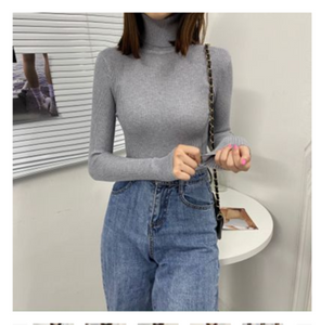 Women Turtleneck Sweaters Autumn Winter Korean Slim Pullover Women Basic Tops Casual Soft Knit Sweater Soft Warm Jumper