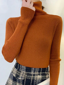 Zoki New 2022 Women Pullover Turtleneck Sweater Autumn Long Sleeve Slim Elastic Korean Simple Basic Cheap Jumper Solid Color Top